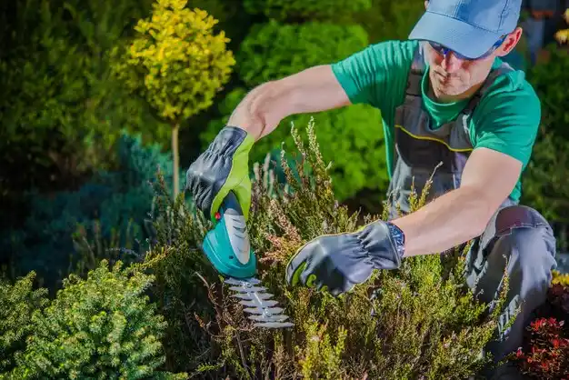 landscaping services Lakewood Club